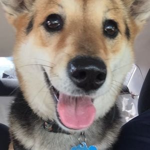 Meet your Posher, Stacy